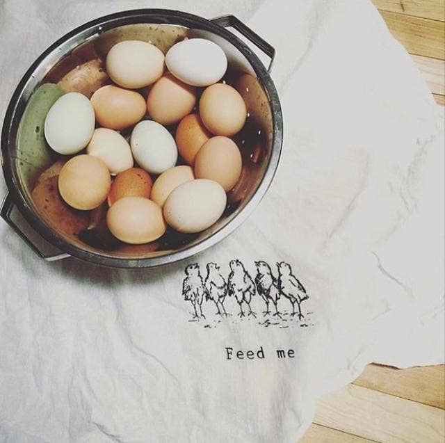 torchon feed me the coin laundry