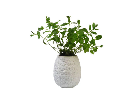 pot de fleur ananas bitten