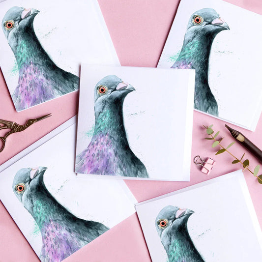 carte de voeux aquarelle pigeon kate moby