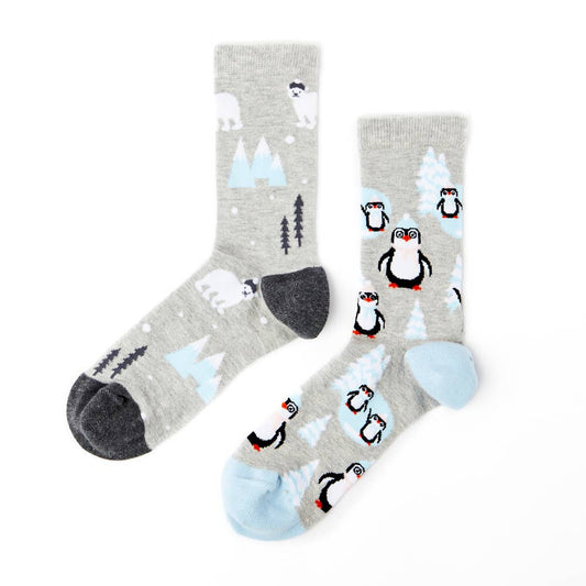 coffret chaussettes igloo urban eccentric
