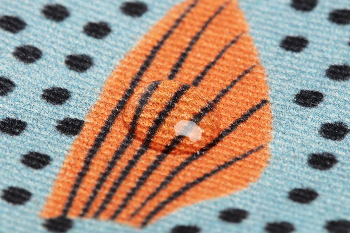 Sweeper Fish Coin Purse