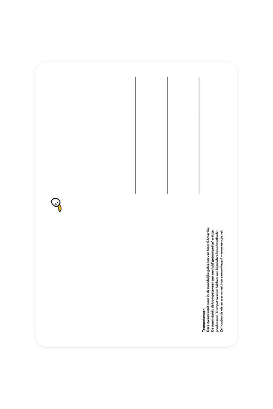 Carte postale avec cygne trompette