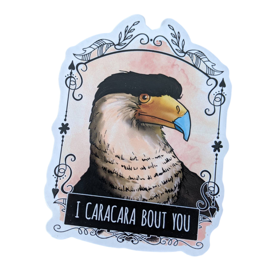 autocollant i caracara bout you