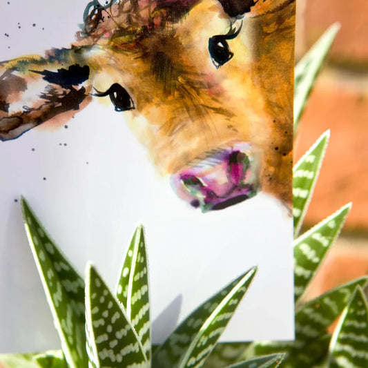 carte postale aquarelle vache kate moby