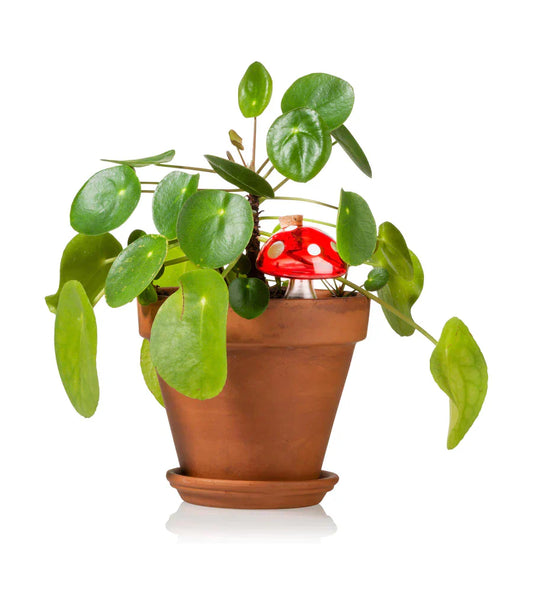 Autonomous pingeliger Sprinkler