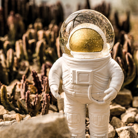 boulle a neige astronaute donkey