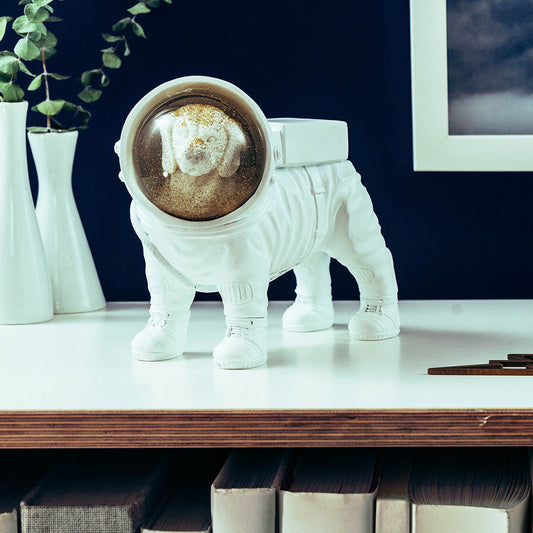 boulle a neige chien astronaute donkey