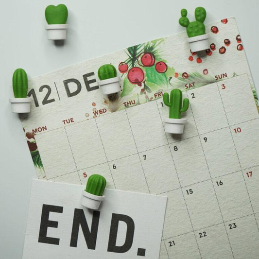 magnets cactus cacnet qualy QL10288 8858782107323