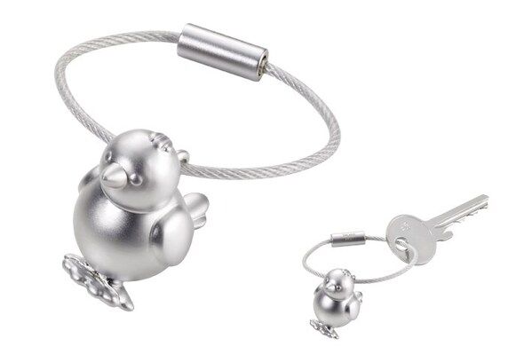 Poussin jack key door