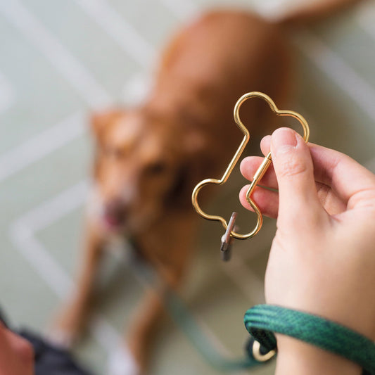 porte cles hello bone os donkey