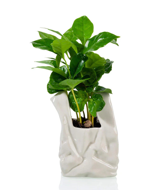 pot je ne suis pas un sac en plastique bitten BTT2153 4897038628056