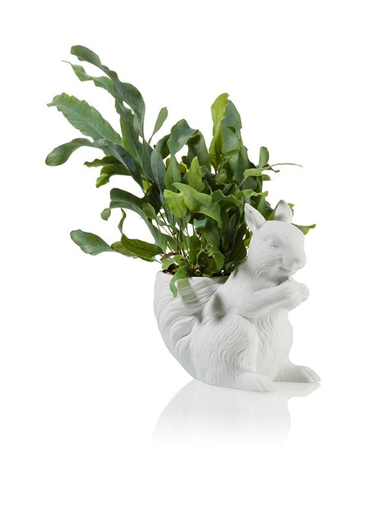 pot de fleur ecureuil bitten