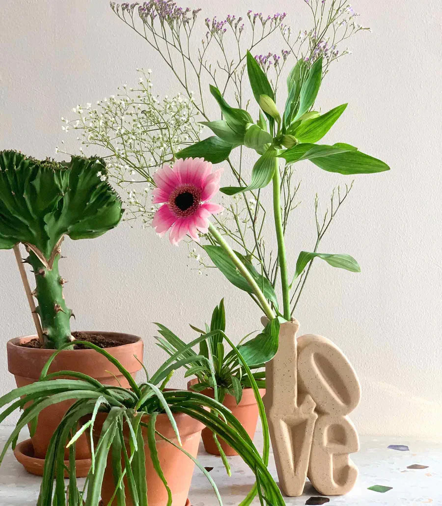 vase love pierre bitten