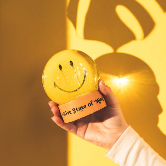 boulle a neige smiley donkey