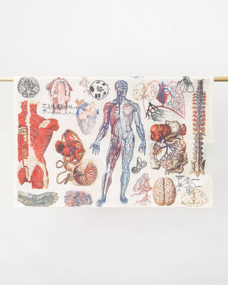 Oggetto regalo di design – Torchon D'anatomie – produit scientifique Cognitive Surplus EU, vue 2