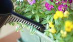 Arrosoir Garden Beetle 5L