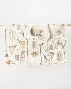 Oggetto regalo di design – Torchon Squelette – produit scientifique Cognitive Surplus EU, vue 2