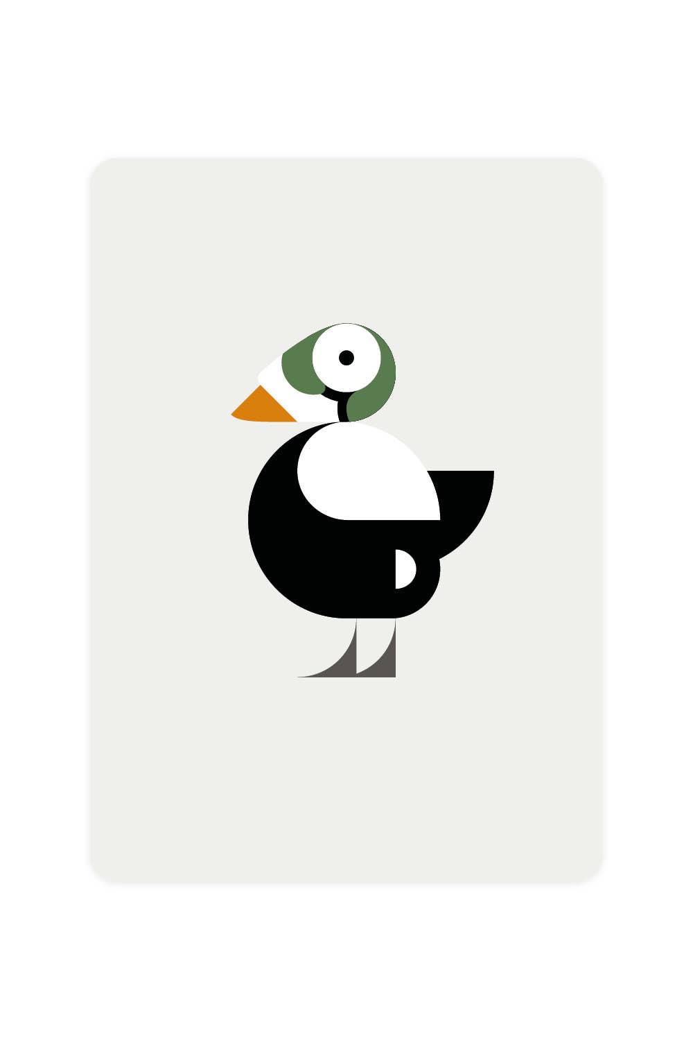 Postkarte mit Eider mit Brille