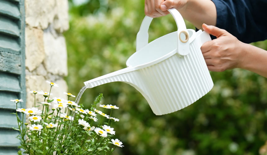 Arrosoir Garden Beetle 1,5L