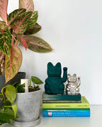 Fortunato gatto verde