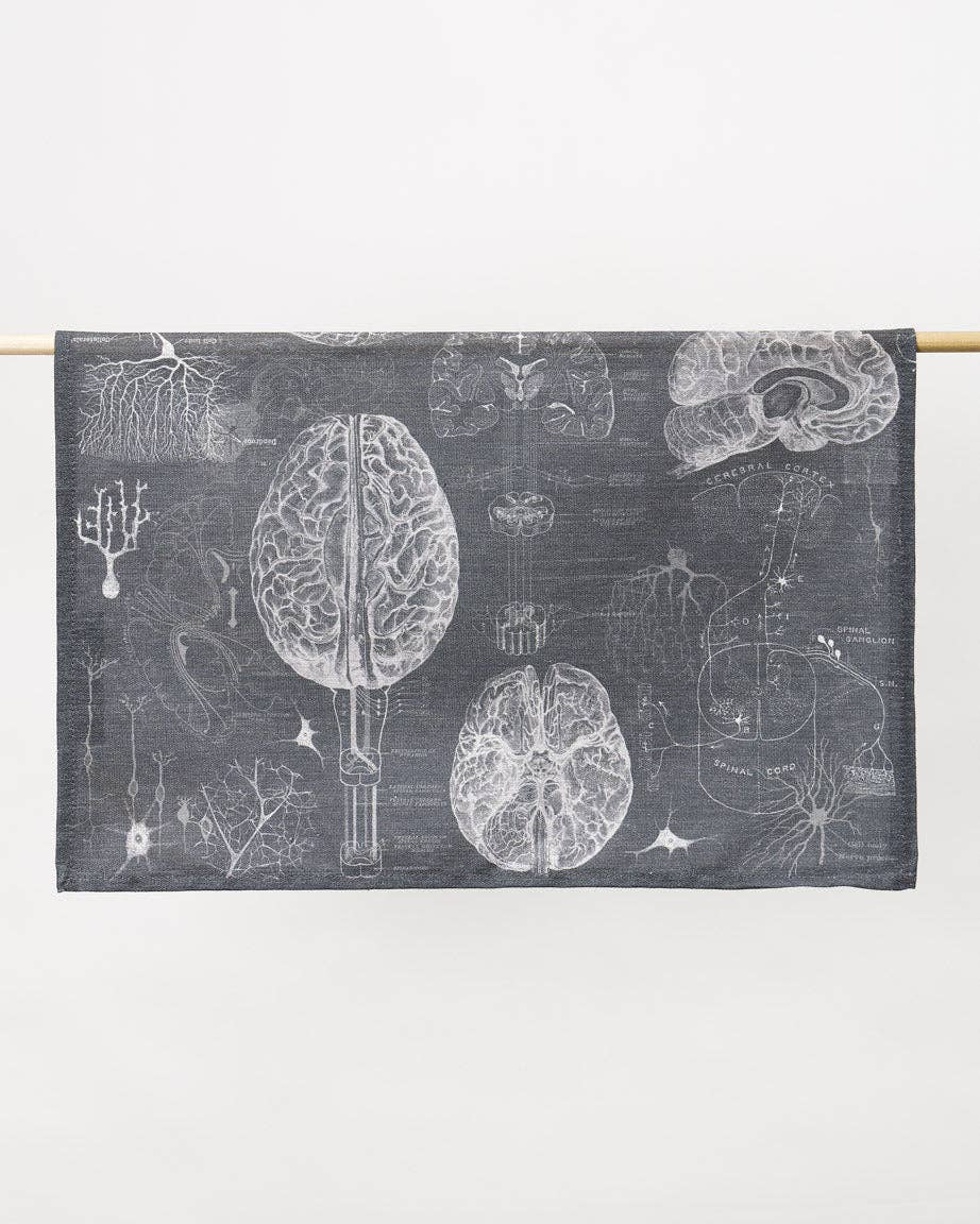 Regalo de diseño – Torchon Science du Cerveau et des Neurosciences – produit scientifique Cognitive Surplus EU, vue 3