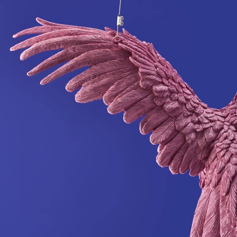 Deckenleuchte Papagei Rosa