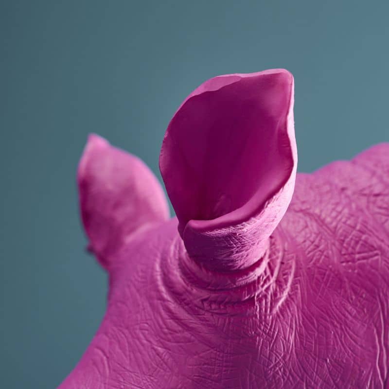 S/2 Nashorn-Buchstützen, Magenta, 39,5 x 14,2 x 20,5 cm