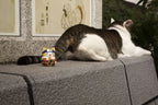 mega cat project naruto nyaruto maneki neko fortune megahouse