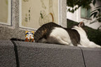 mega cat project naruto nyaruto maneki neko fortune megahouse