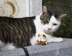 mega cat project naruto nyaruto maneki neko fortune megahouse
