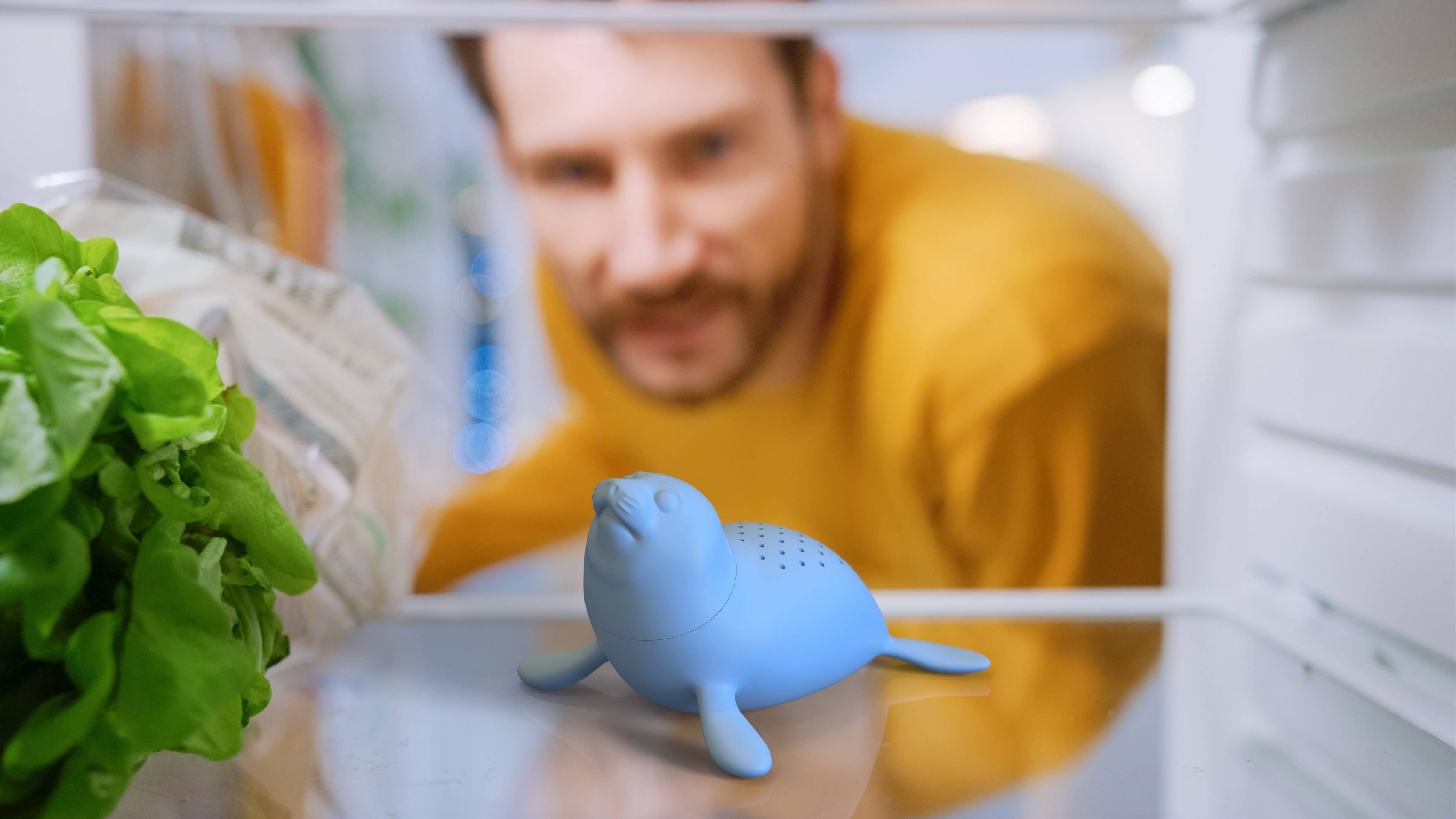 Neutraliseur d'odeurs de réfrigérateur Phoque | Design e regali originali
