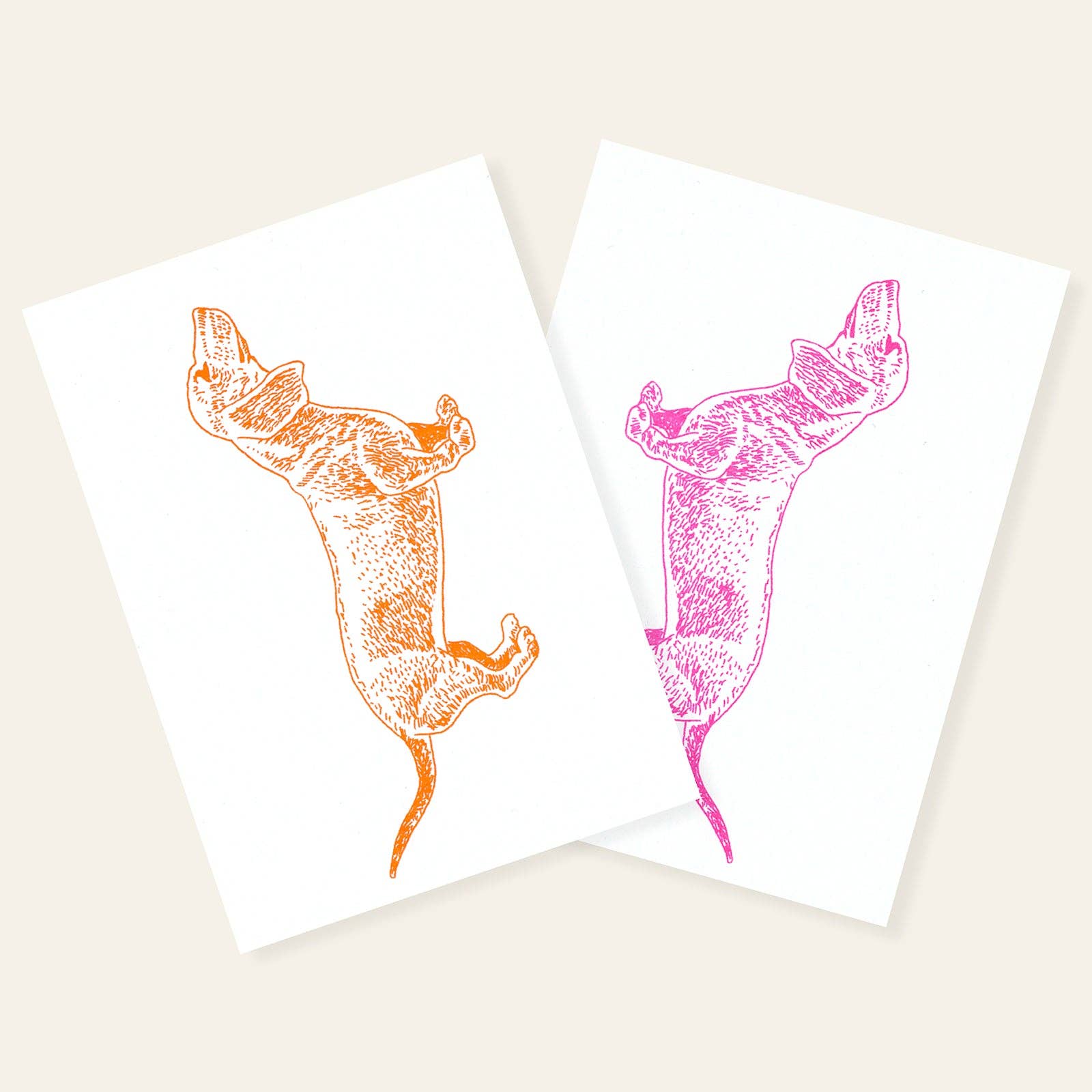 Carte postale Teckel Néon Rose | Oggetti di design e regali originali