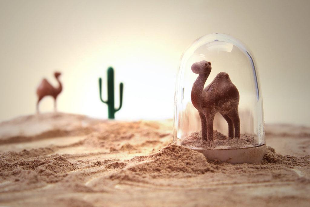 Designcadeau – | Boutique d'objets cadeaux designs 