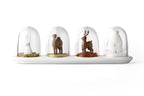 Animaux Parade Epices Qualy
