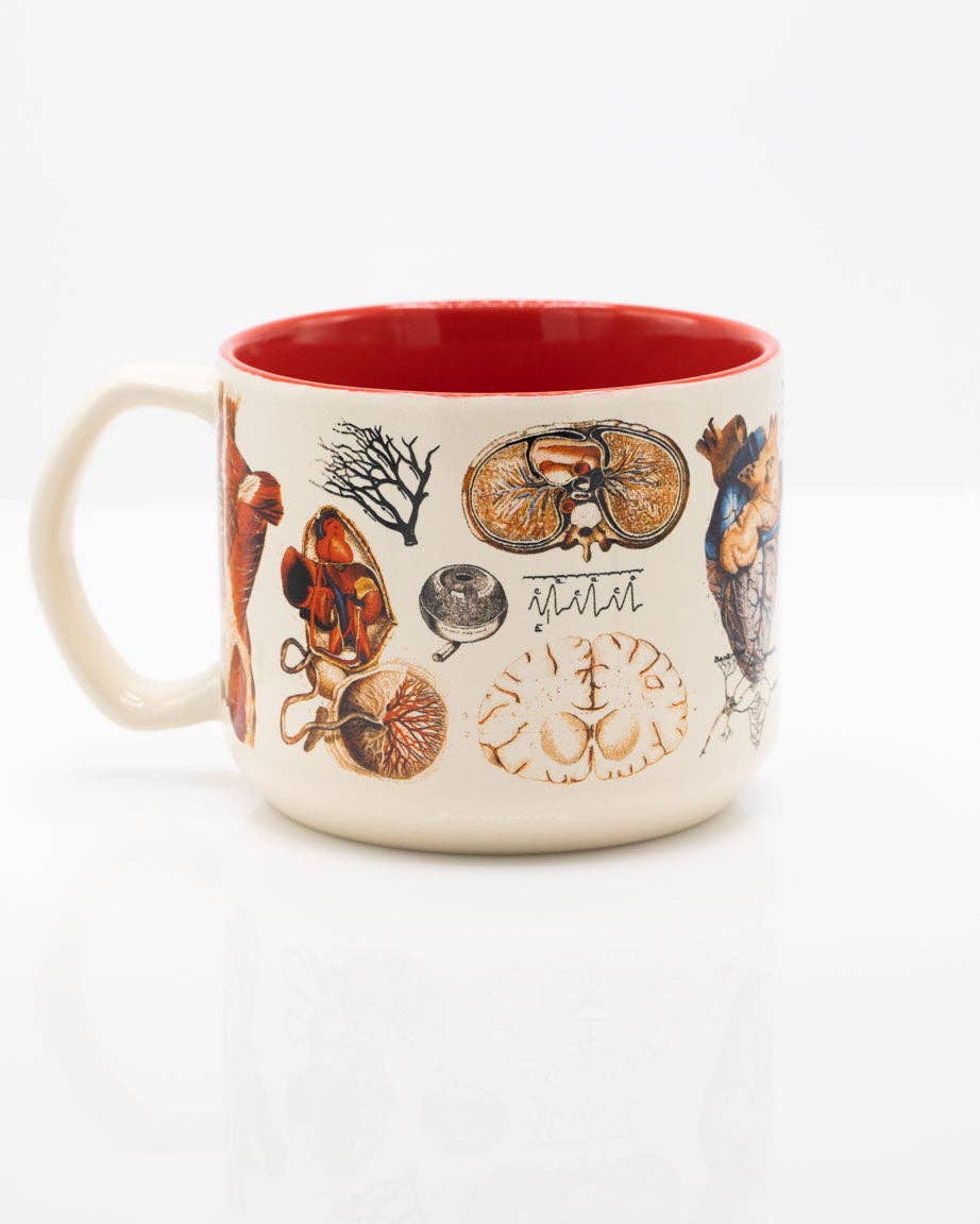 Oggetto regalo di design – Anatomie Mug vasculaire (430 ml) – produit scientifique Cognitive Surplus EU, vue 2