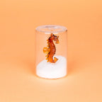 Salière Atlantis Seahorse