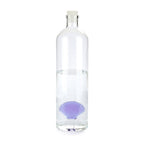 Bouteille Atlantis Shell