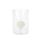 Verre Atlantis Shell