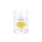 Verre Atlantis Shell