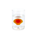 Verre Atlantis Shell