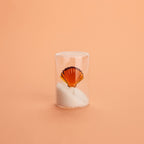 Salière Atlantis Shell