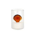 Salière Atlantis Shell
