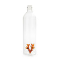 Bouteille Atlantis Coral