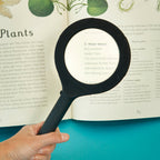 Magnifier Zoom