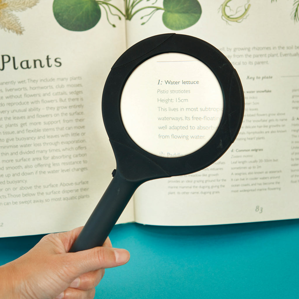 Magnifier Zoom