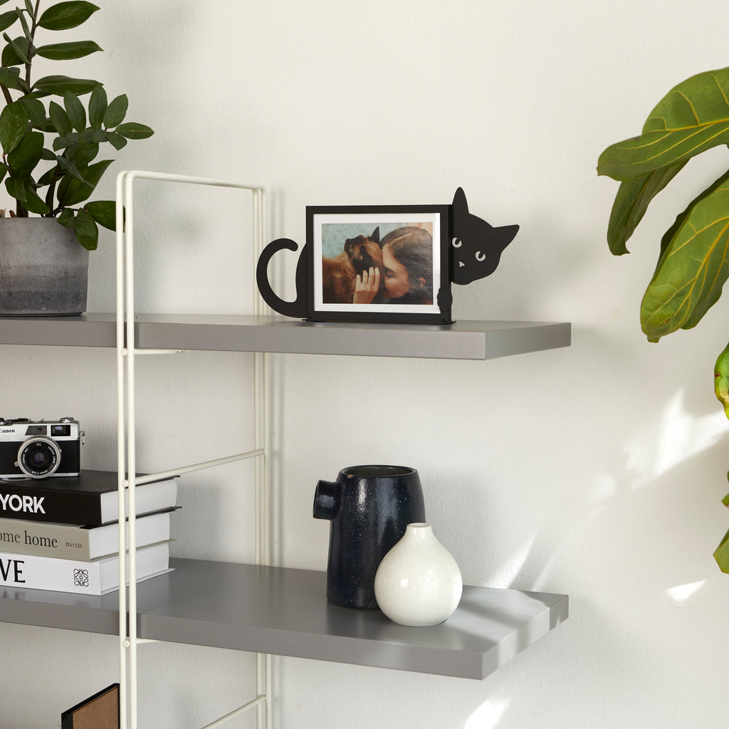 Hidden Cat Photo Frame