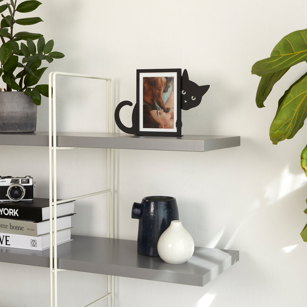 Hidden Cat Photo Frame
