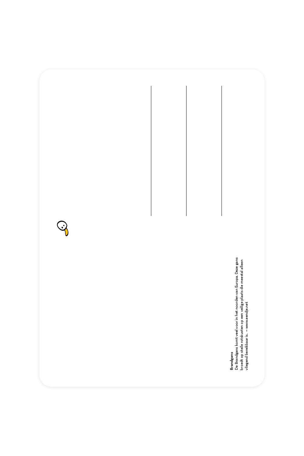 Carte postale avec Bernache