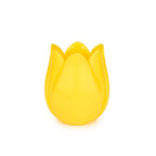 Tulip Pencil Holder