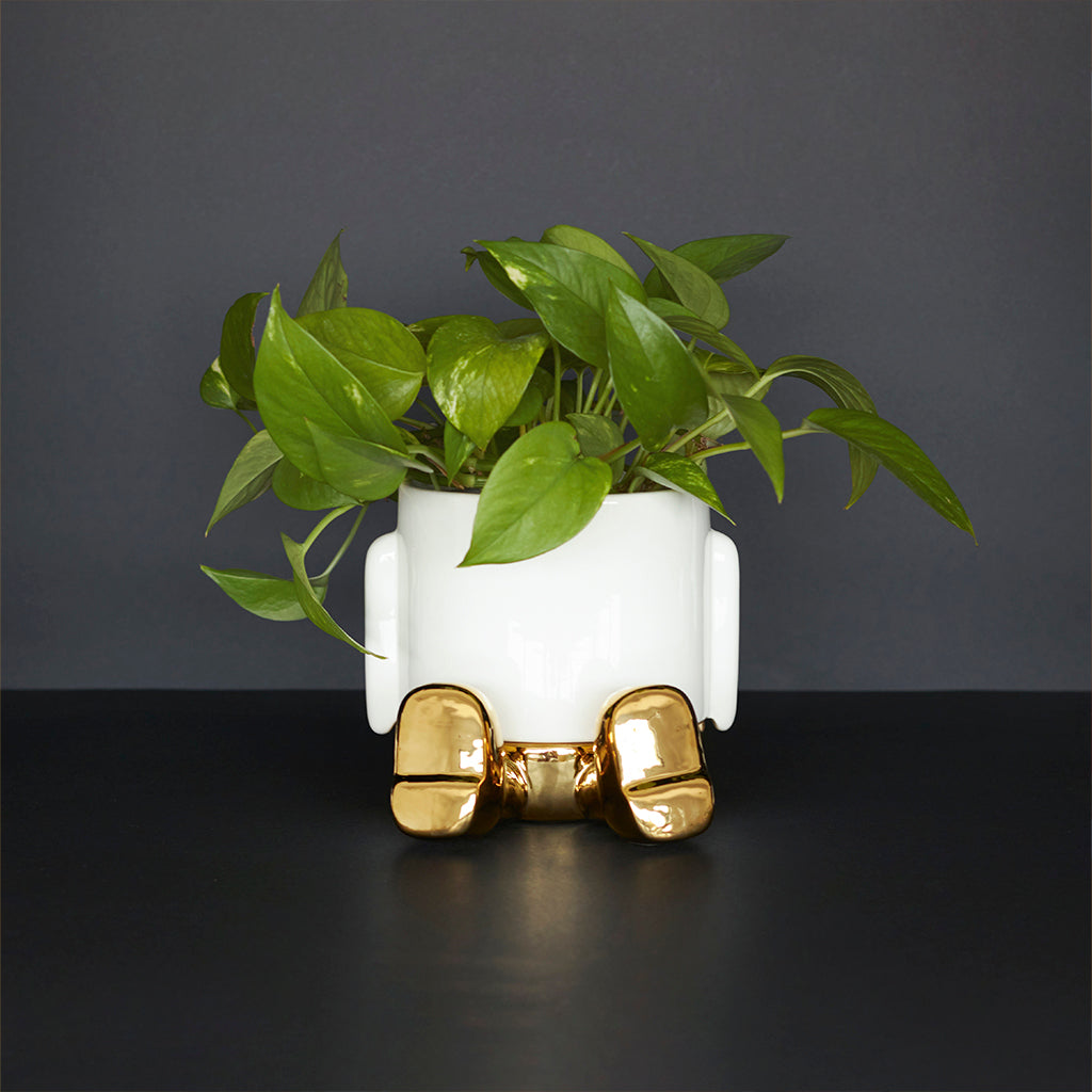 Pot de fleurs Mr. Sitty